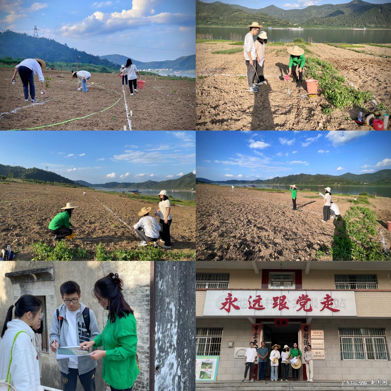 图片 3.png 图片 3.png