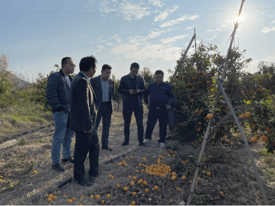 20220622100302472.png 20220622100302472.png