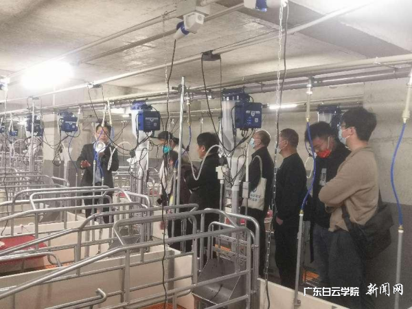 图片 4.png 图片 4.png